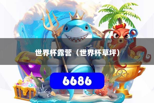世界杯露营（世界杯草坪）